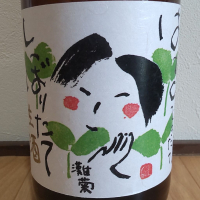 灘菊