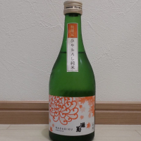 灘菊