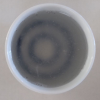 秀月のレビュー by_播州蔵之介