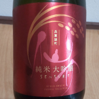 仙介