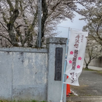 櫻一文字のレビュー by_播州蔵之介