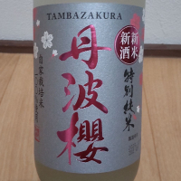 丹波櫻