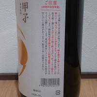 甲子のレビュー by_播州蔵之介