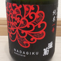 灘菊