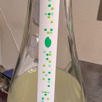 飛鸞のレビュー by_梅子