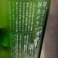 甲子のレビュー by_梅子