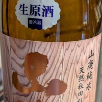 山本
