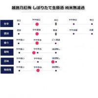 越路乃紅梅のレビュー by_fuji