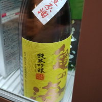 亀の海
