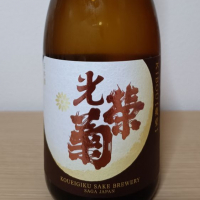 光栄菊