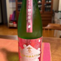 金鵄盃
