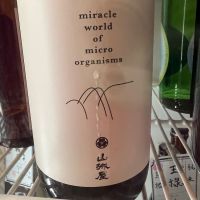 山城屋