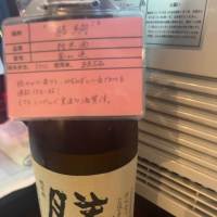 富山県の酒