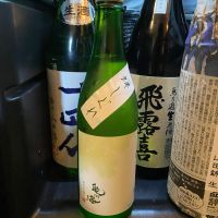 亀の海