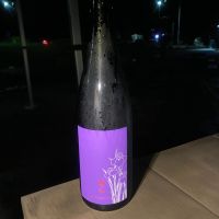 山の井