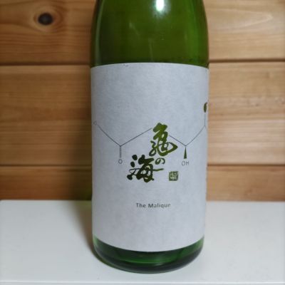 亀の海のレビュー by_協会69号