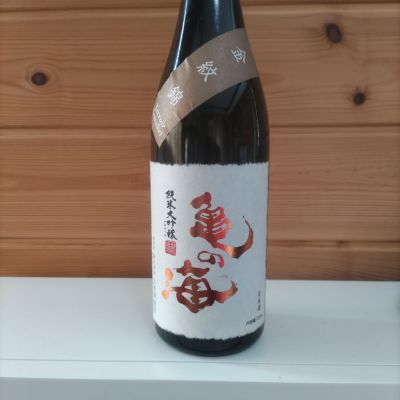 亀の海のレビュー by_協会69号