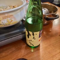 かもみどり