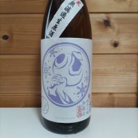 北安大國
