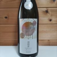 総乃寒菊