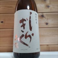 土佐しらぎく