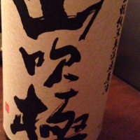 山吹極