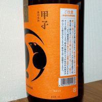 甲子のレビュー by_gon78