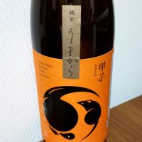 甲子のレビュー by_gon78