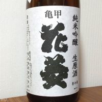 
            亀甲花菱_
            gon78さん