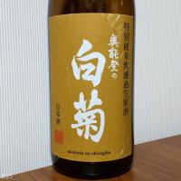 奥能登の白菊