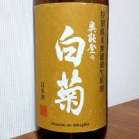 奥能登の白菊