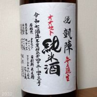 悦凱陣