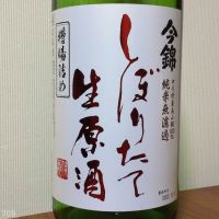 今錦