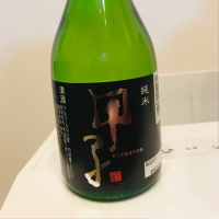 甲子のレビュー by_きんむぎ
