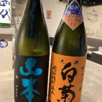 白菊