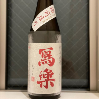 
            写楽（冩樂）_
            夜兎さん