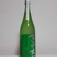 甲子のレビュー by_けけ