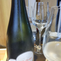 
            仙禽_
            はとさん