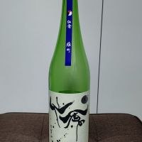 
            仙禽_
            はとさん