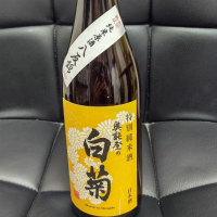 
            奥能登の白菊_
            はとさん