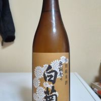 奥能登の白菊