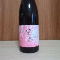 風の森