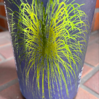 風の森