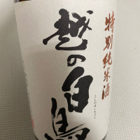 越の白鳥