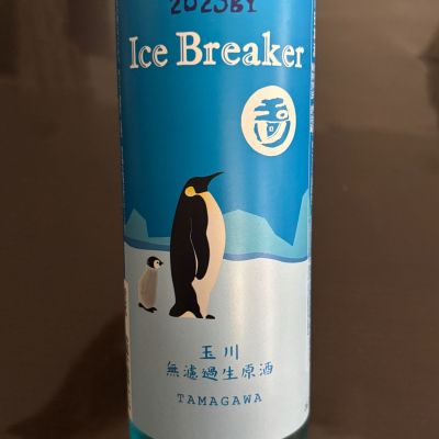Ice Breakerのレビュー by_puipui