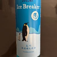 Ice Breaker