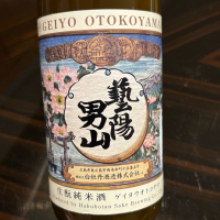 藝陽男山