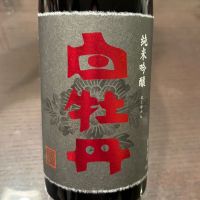 白牡丹