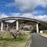 川中島 幻舞のレビュー by_しろくまとうさん