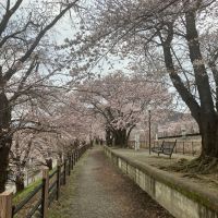 太冠のレビュー by_しろくまとうさん